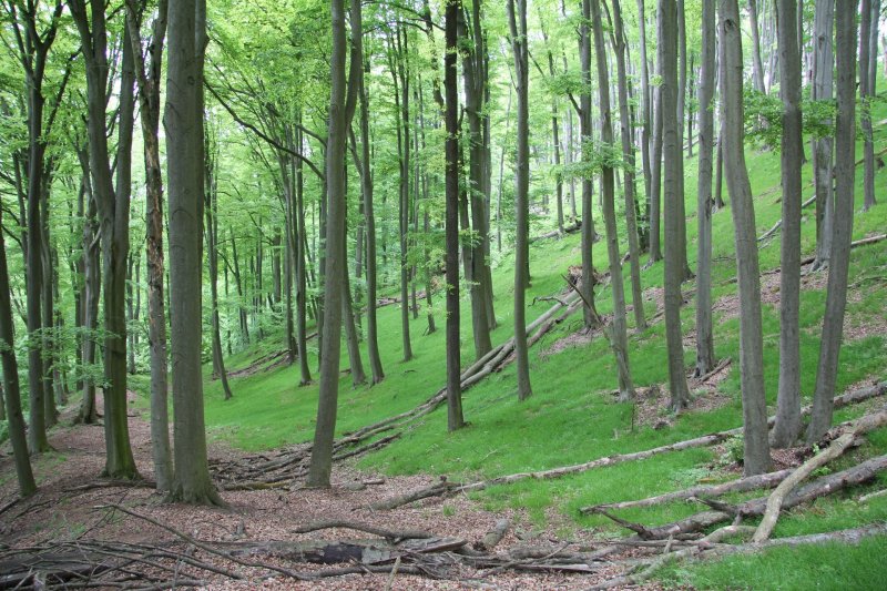 Archeologické léto –⁠⁠⁠⁠⁠⁠ hradiště Holý kopec
