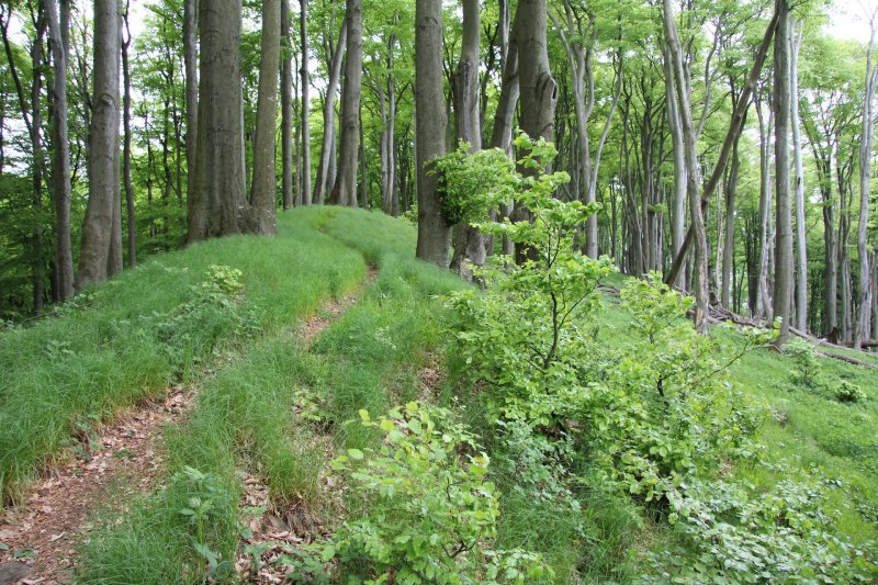 Archeologické léto –⁠⁠⁠⁠⁠⁠ hradiště Holý kopec
