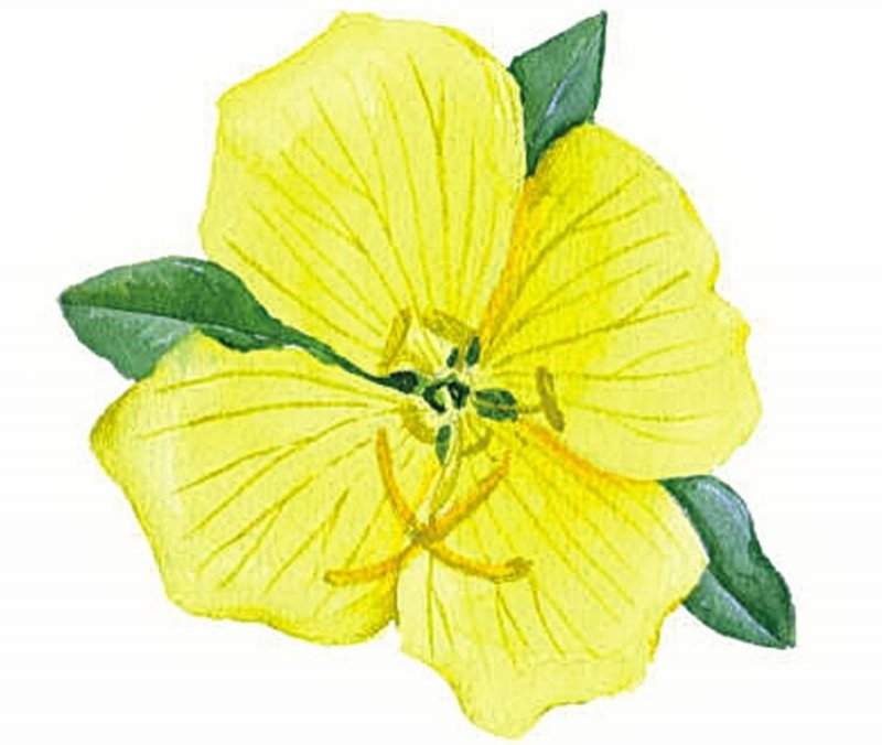 Jarní prázdniny ve Slováckém muzeu