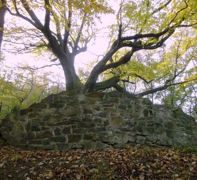 Archeologické léto: komentovaná prohlídka hradu Zuvačov
