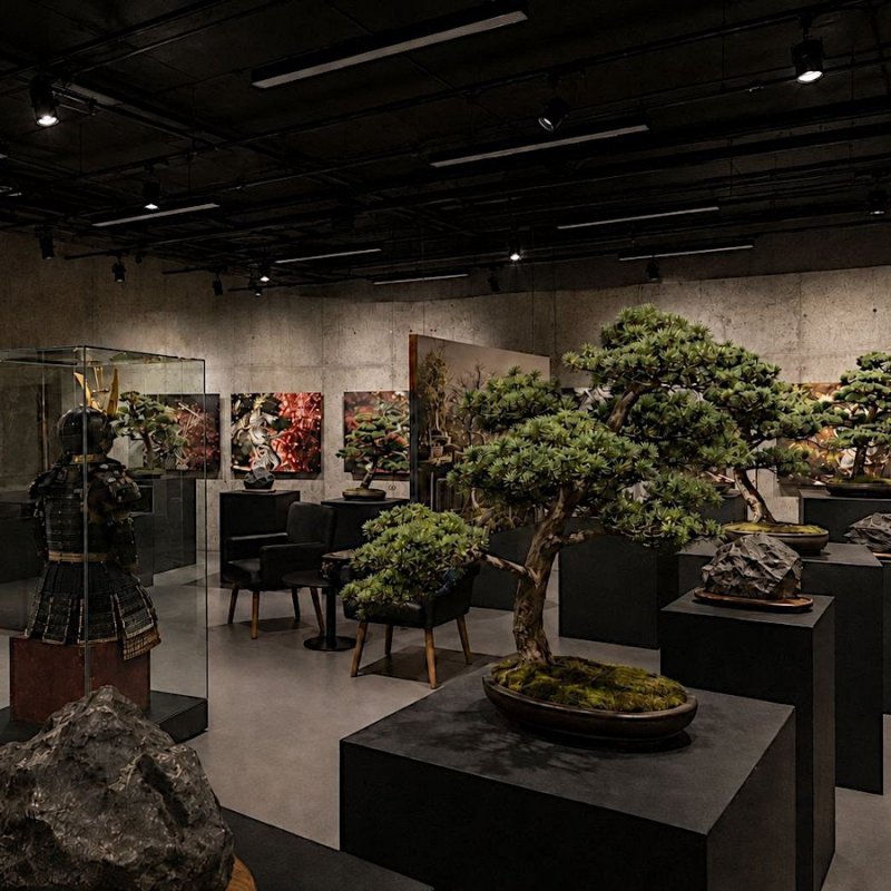 Komentované prohlídky výstavy BONsai: KATACHI 形