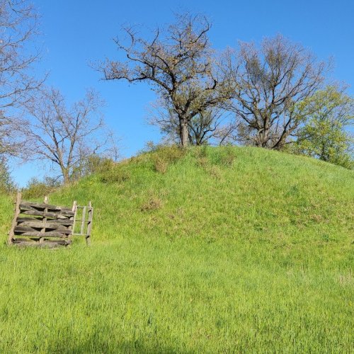 Archeologické léto / Středověké tvrziště Částkov